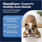 GlandCare+: Anal Gland Probiotic Chews
