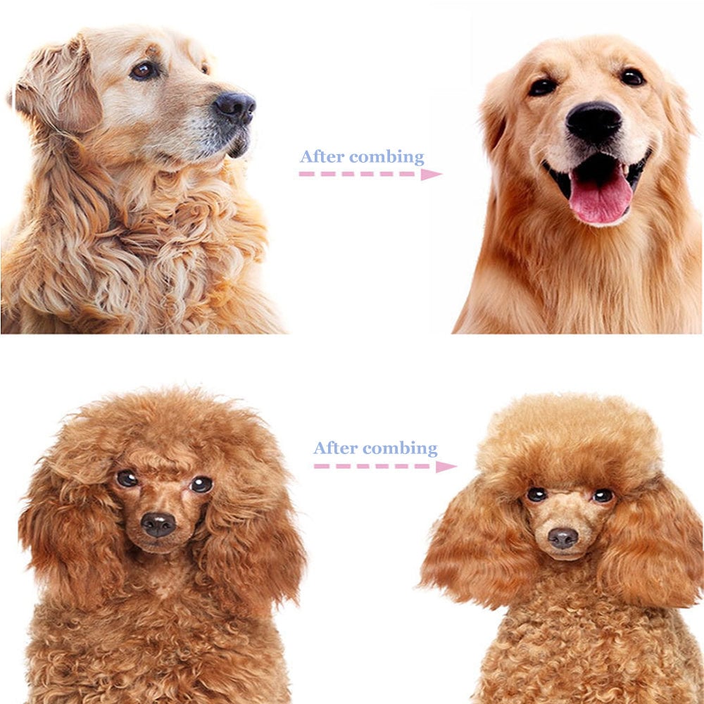⏰🔥LIMITED TIME 50% OFF! 🐾 Professional Pet Deshedding Brush for Dogs & Cats – Gentle Grooming & Fur-Free Home ✨